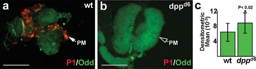 FIG. 6