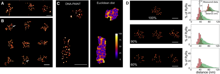 Figure 4