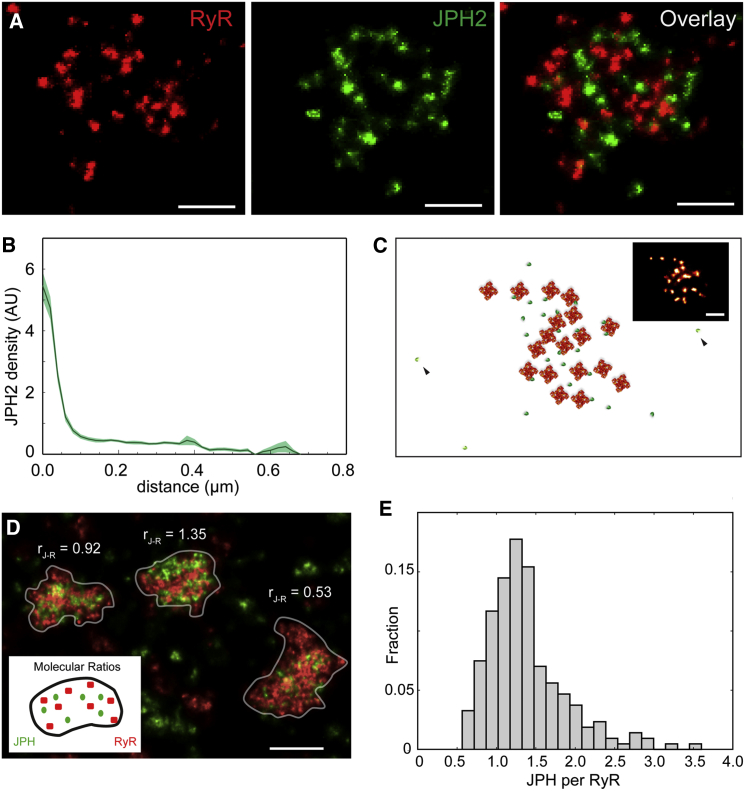 Figure 5