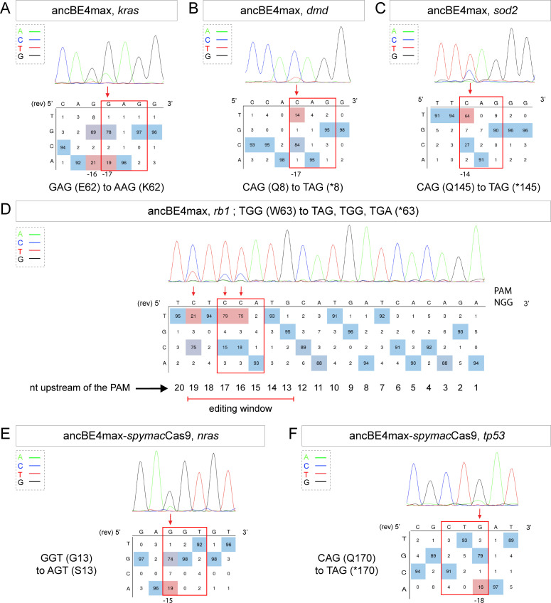 Figure 2.