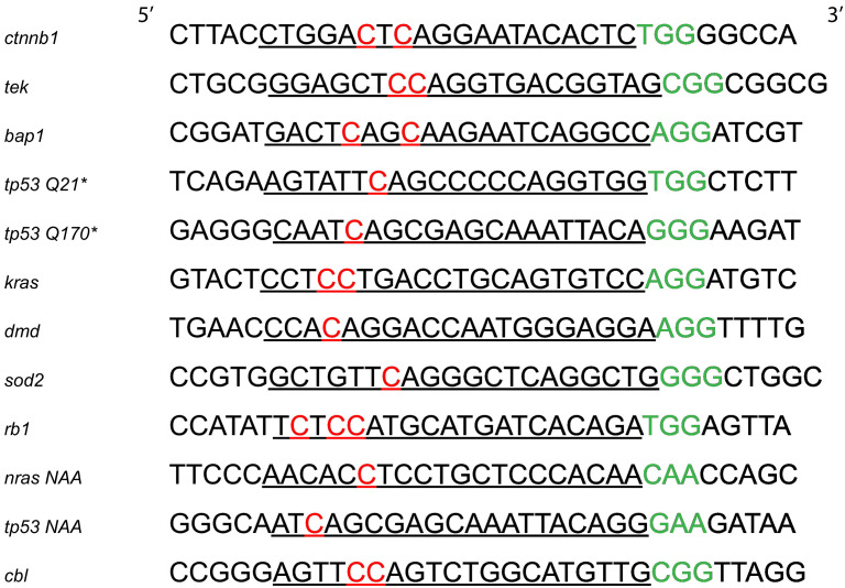 Figure 1—figure supplement 1.