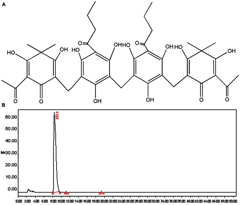 FIGURE 1