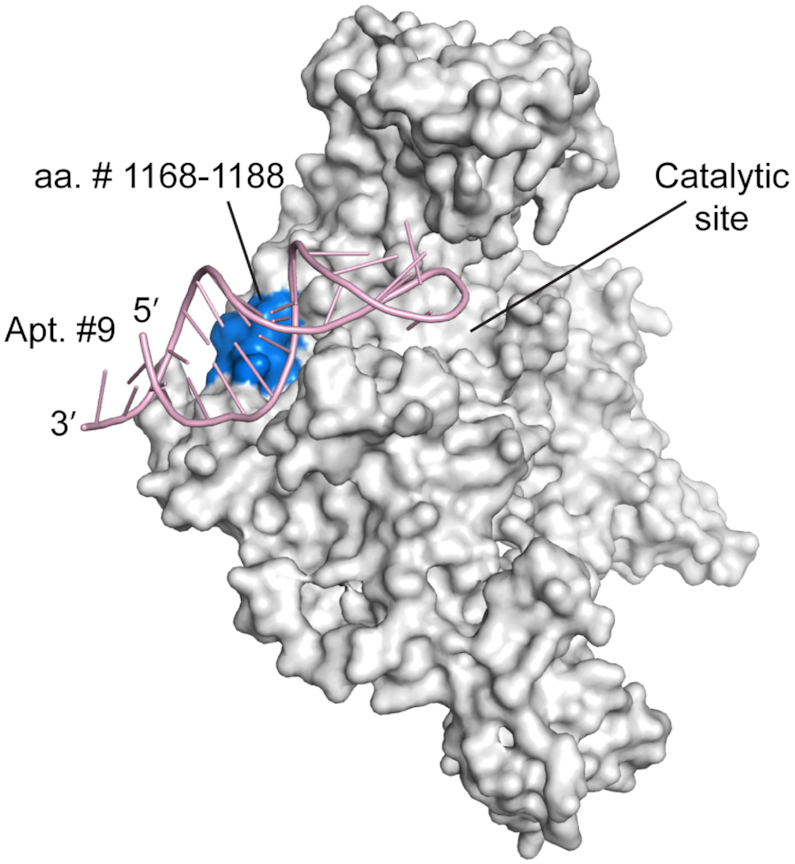 Figure 5.