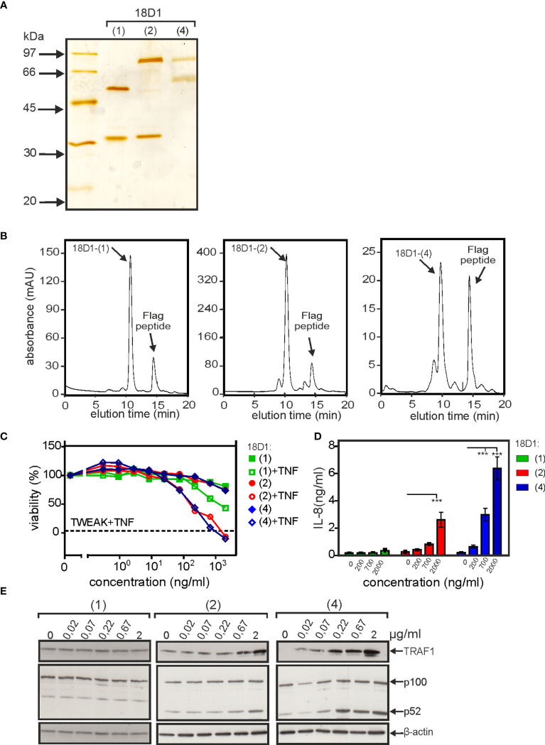 Figure 4