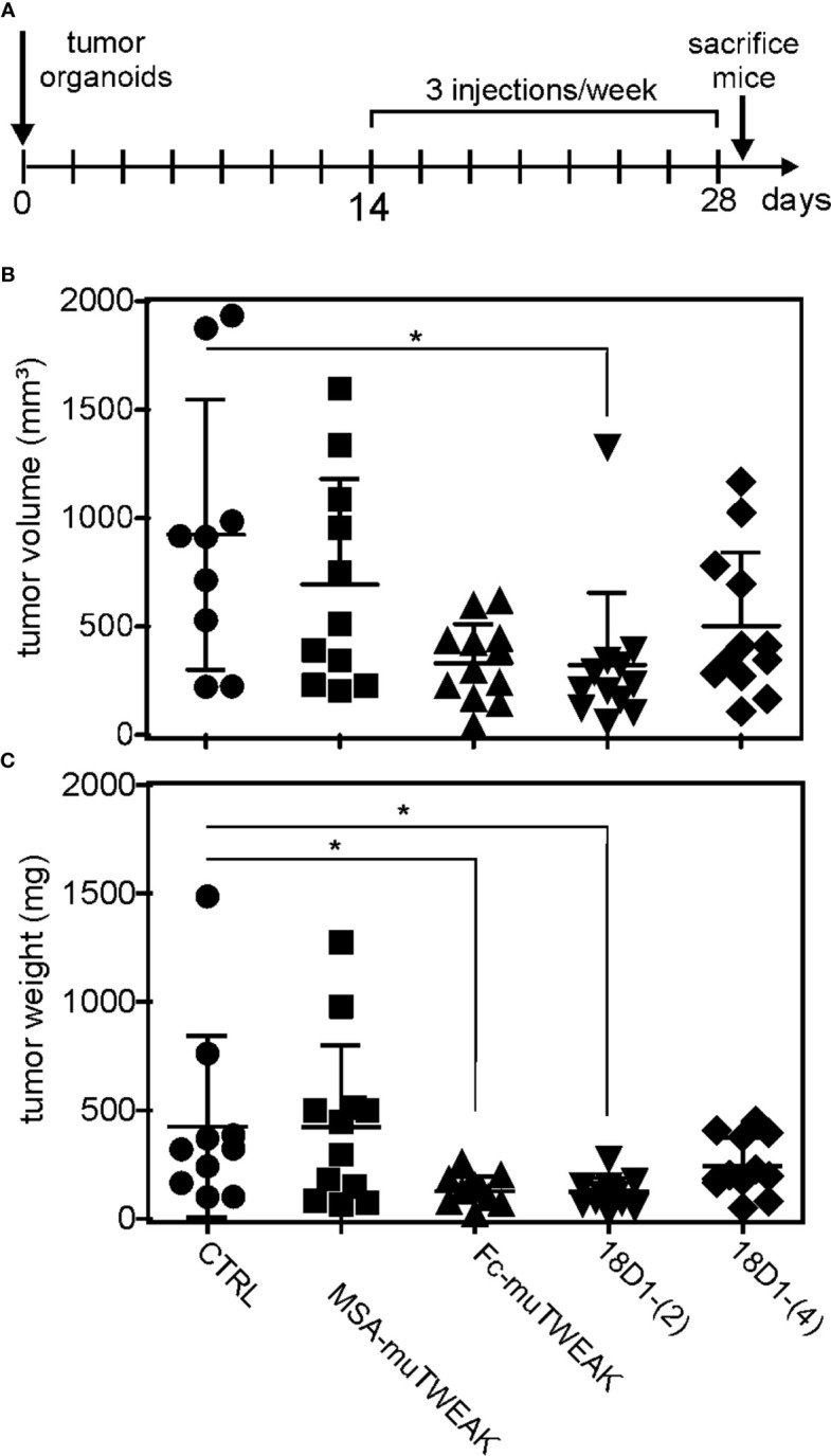 Figure 6