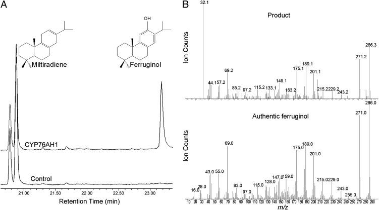 Fig. 3.