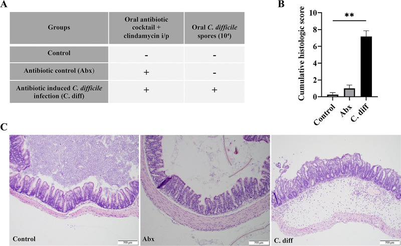 FIG 1