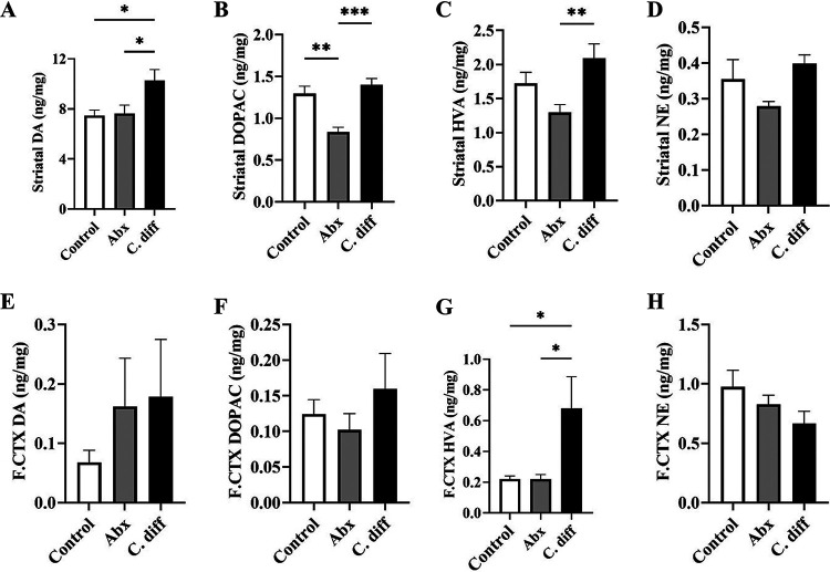 FIG 3