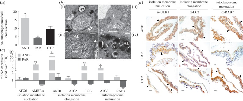 Figure 4.