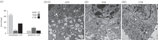 Figure 3.