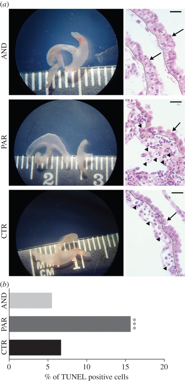 Figure 2.