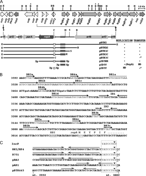 FIG. 2.