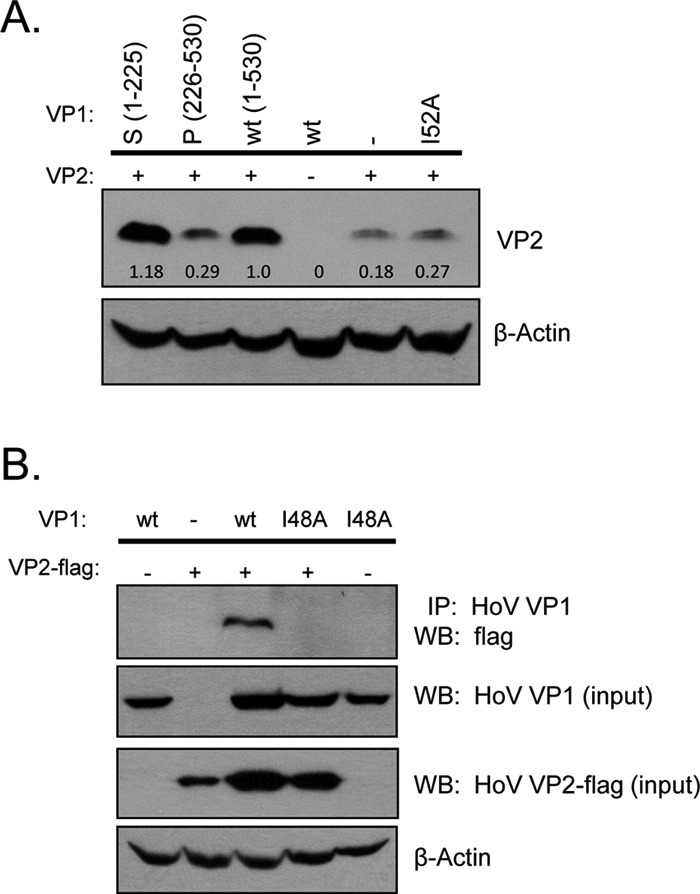 Fig 5