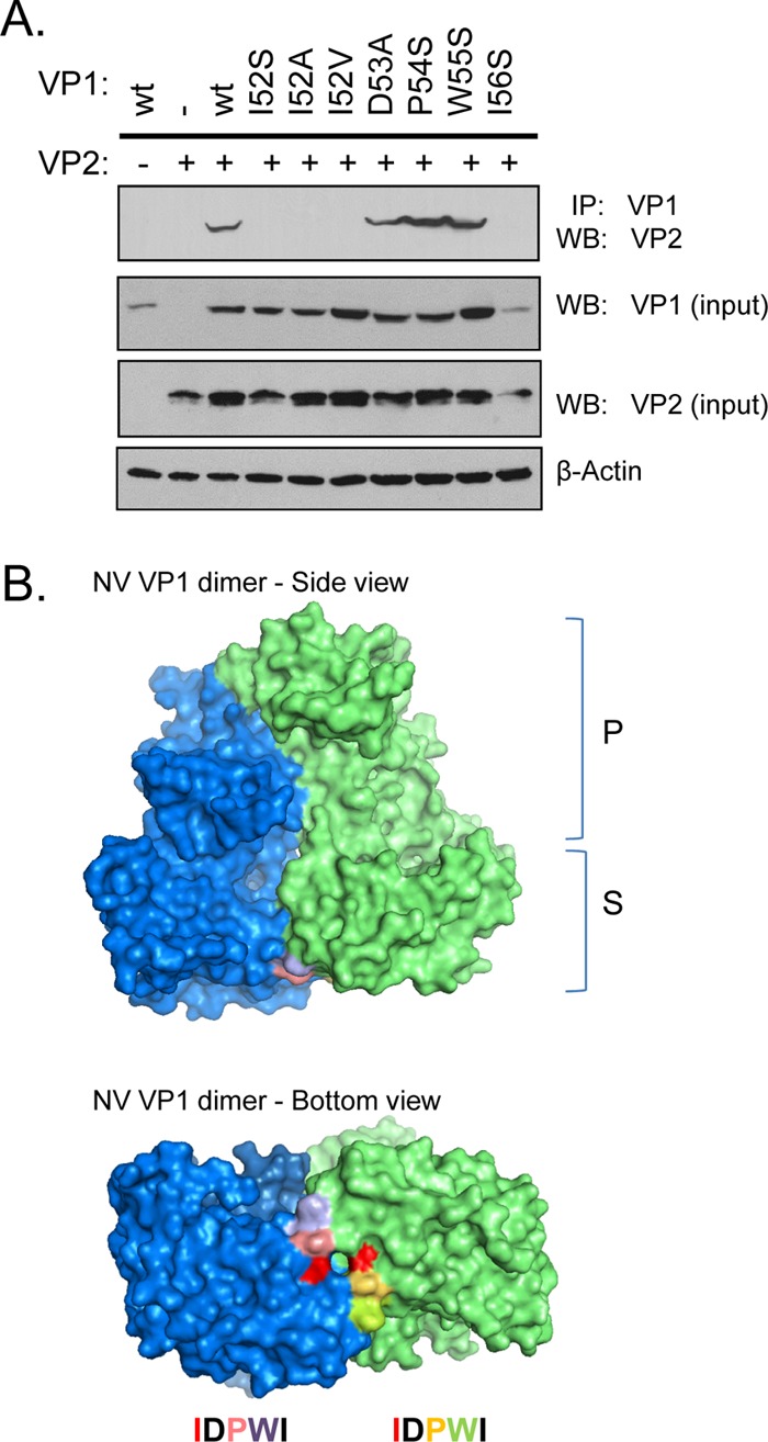 Fig 4