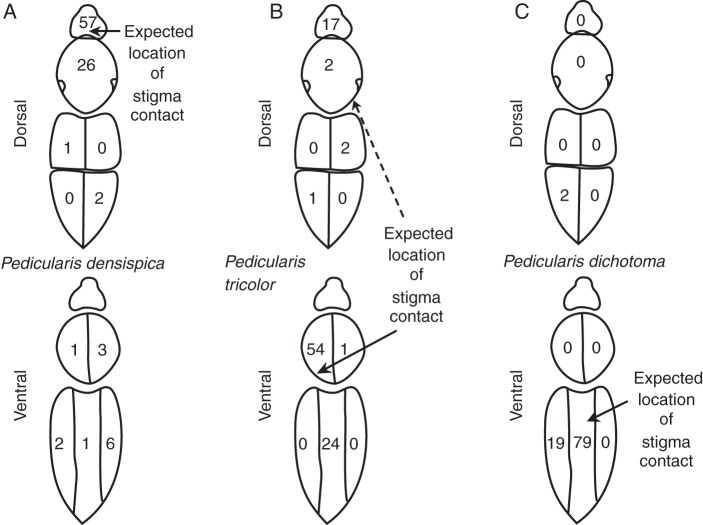 Fig. 5.