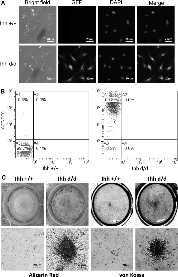 FIG. 6.