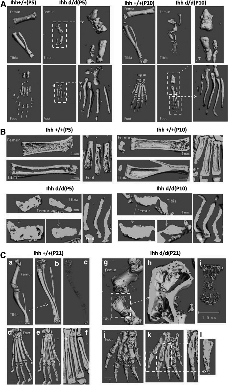 FIG. 4.