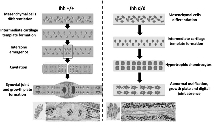 FIG. 7.