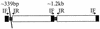 FIG. 1