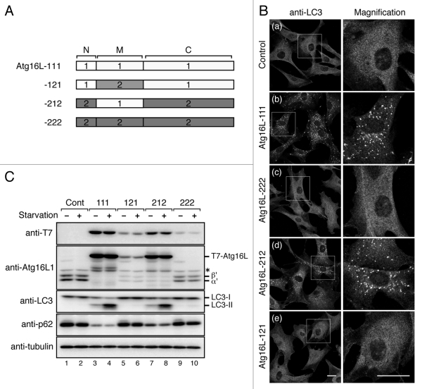 Figure 6.