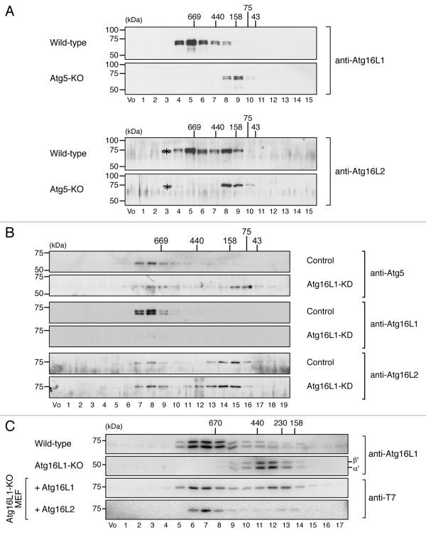 Figure 4.