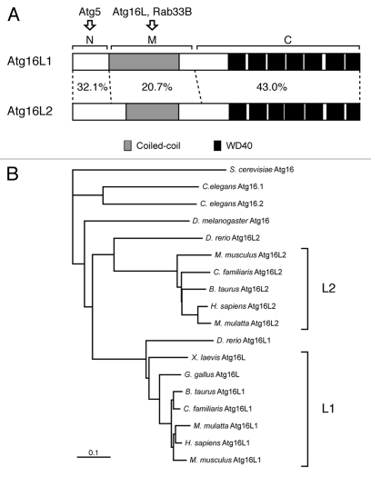 Figure 1.