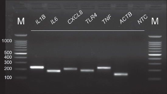 Supplementary Figure-S4