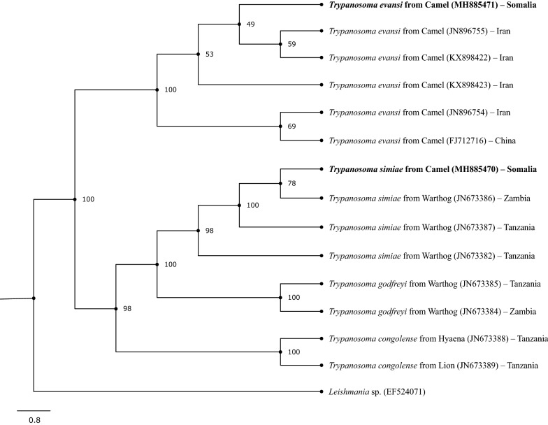 Fig. 1