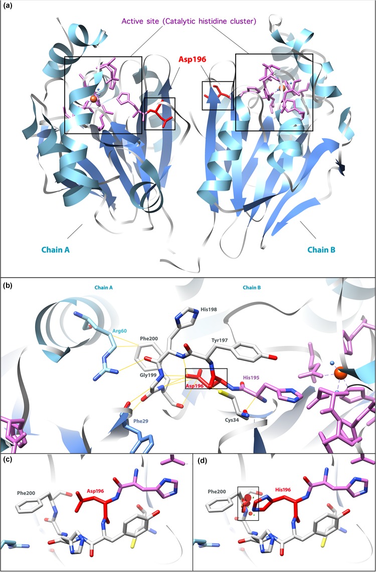 FIGURE 3