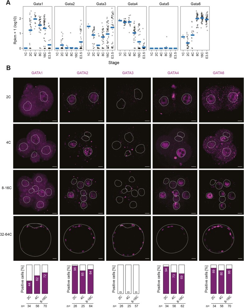 Extended Data Fig. 6