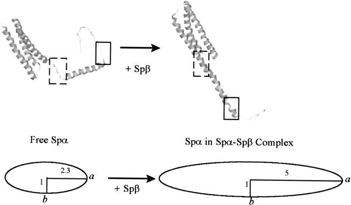 Figure 10.