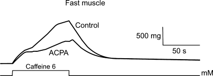 Fig. 5