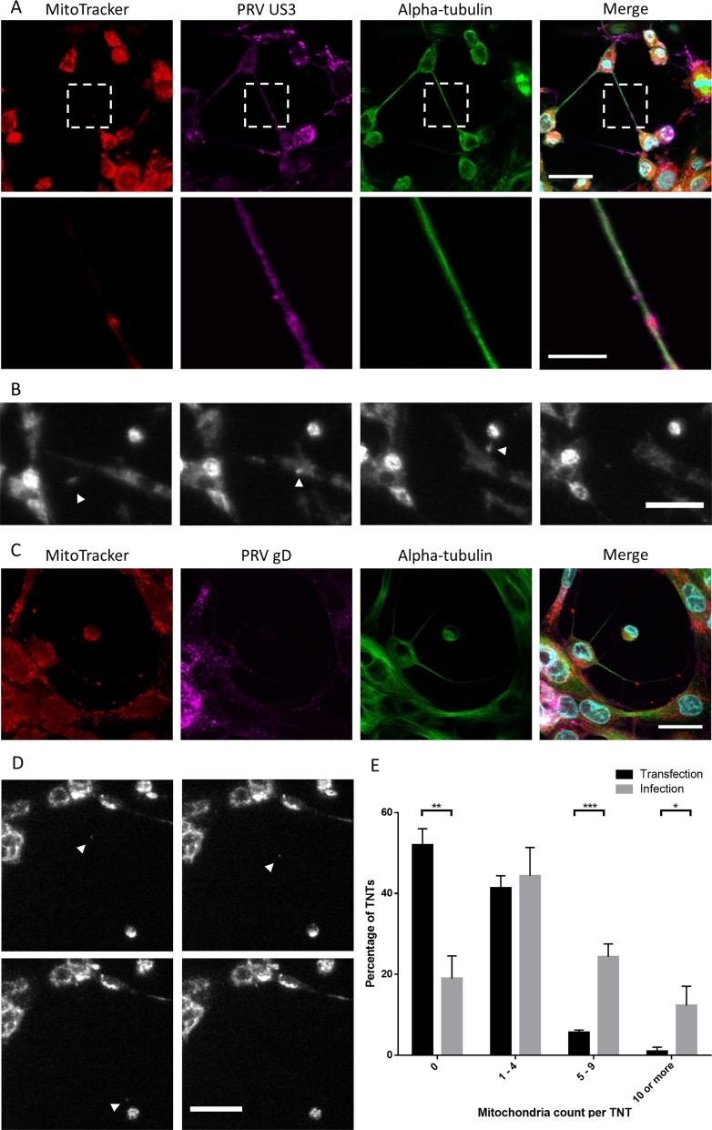 FIG 6