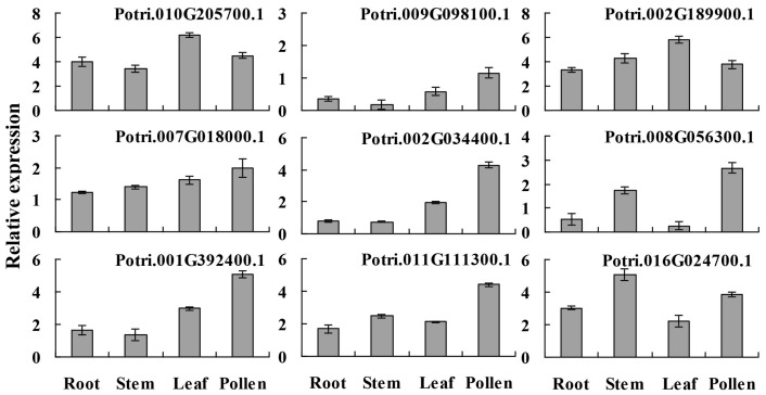 Figure 6