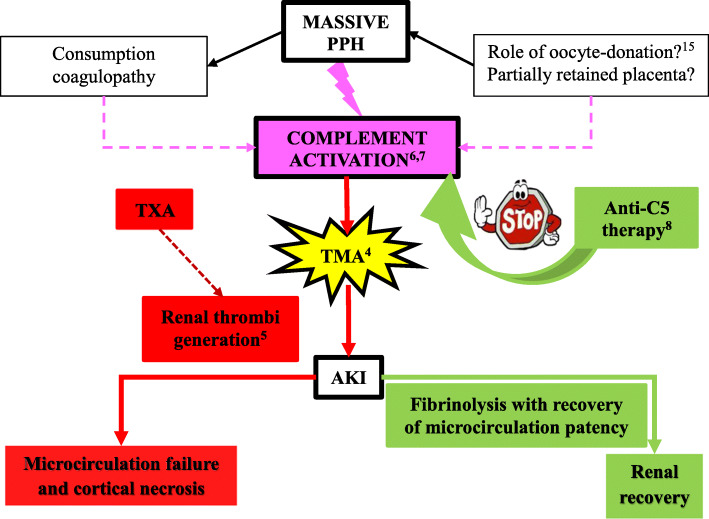 Fig. 2