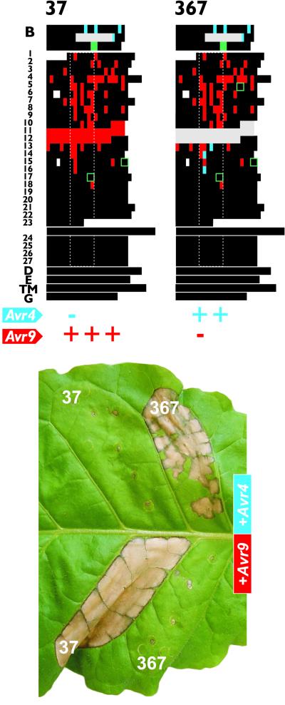 Figure 4.