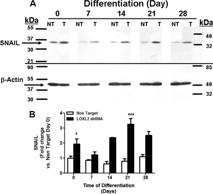 FIGURE 10.