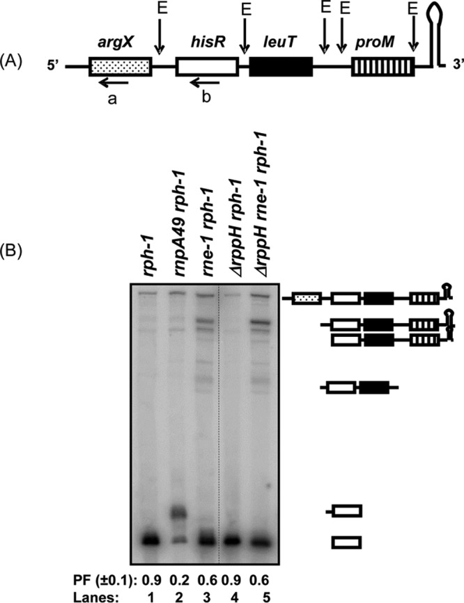 FIG 4