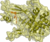 graphic file with name 41598_2022_8073_Figi_HTML.gif
