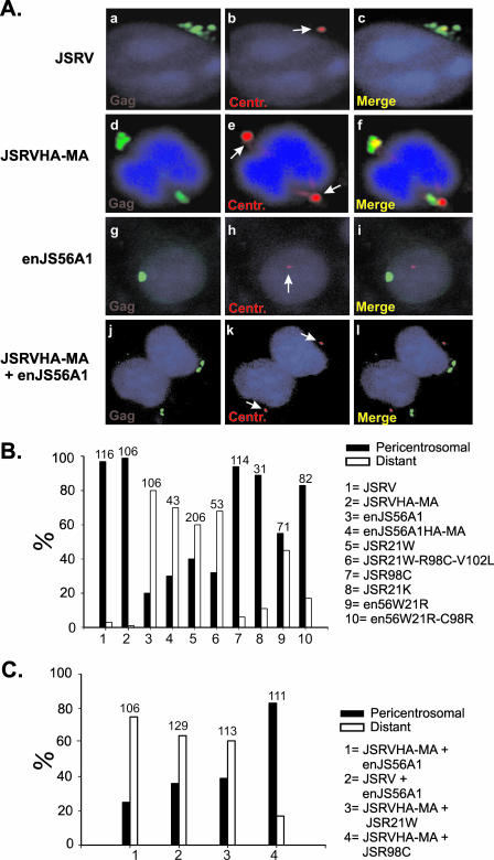 FIG. 7.