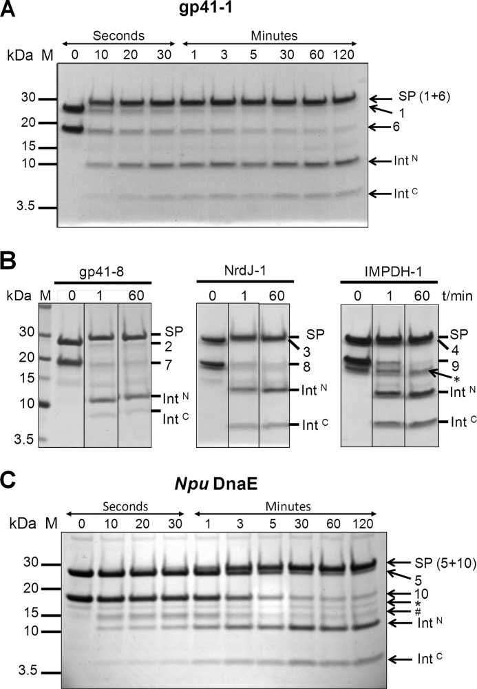 FIGURE 2.