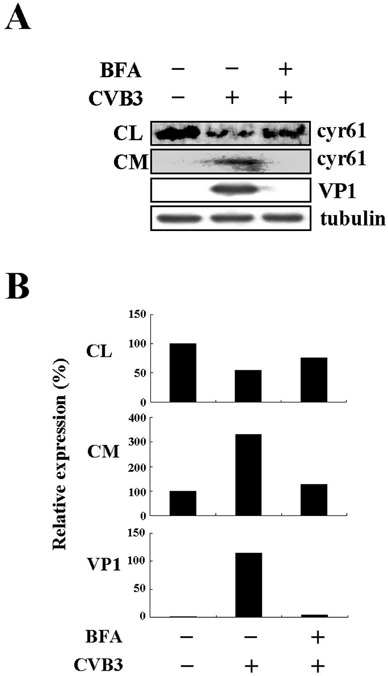 FIG. 7.