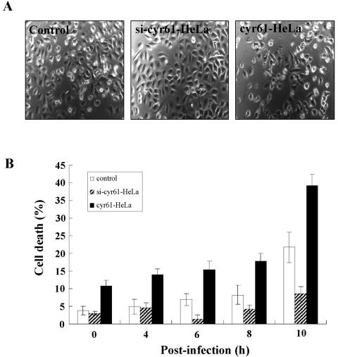 FIG. 6.