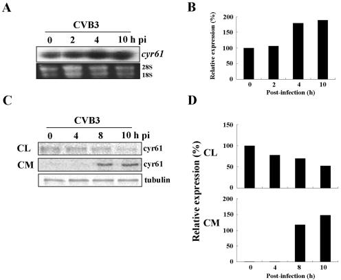 FIG. 1.