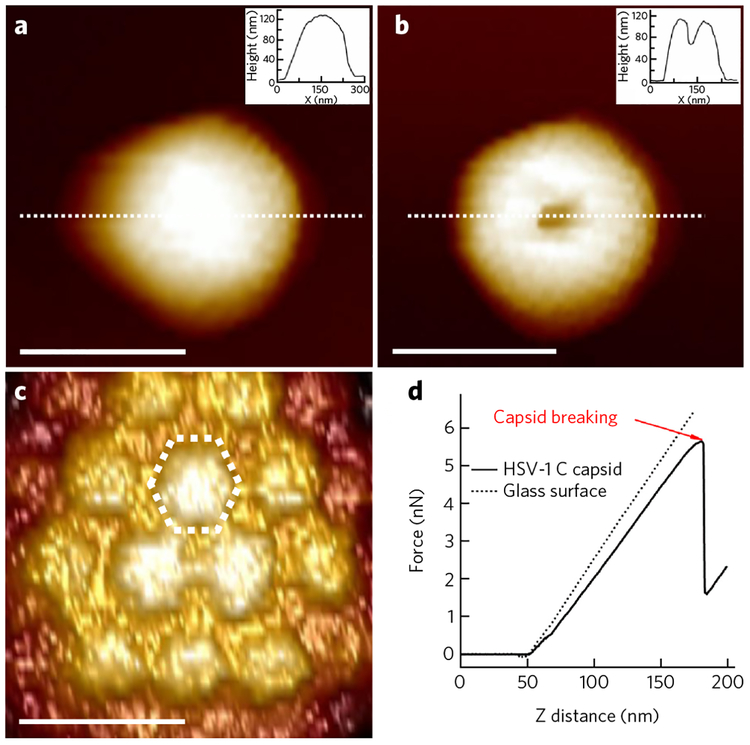 Figure 1 |