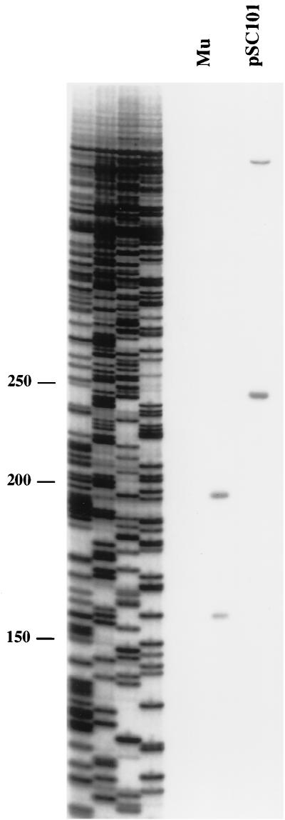 FIG. 6