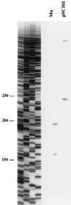 FIG. 6