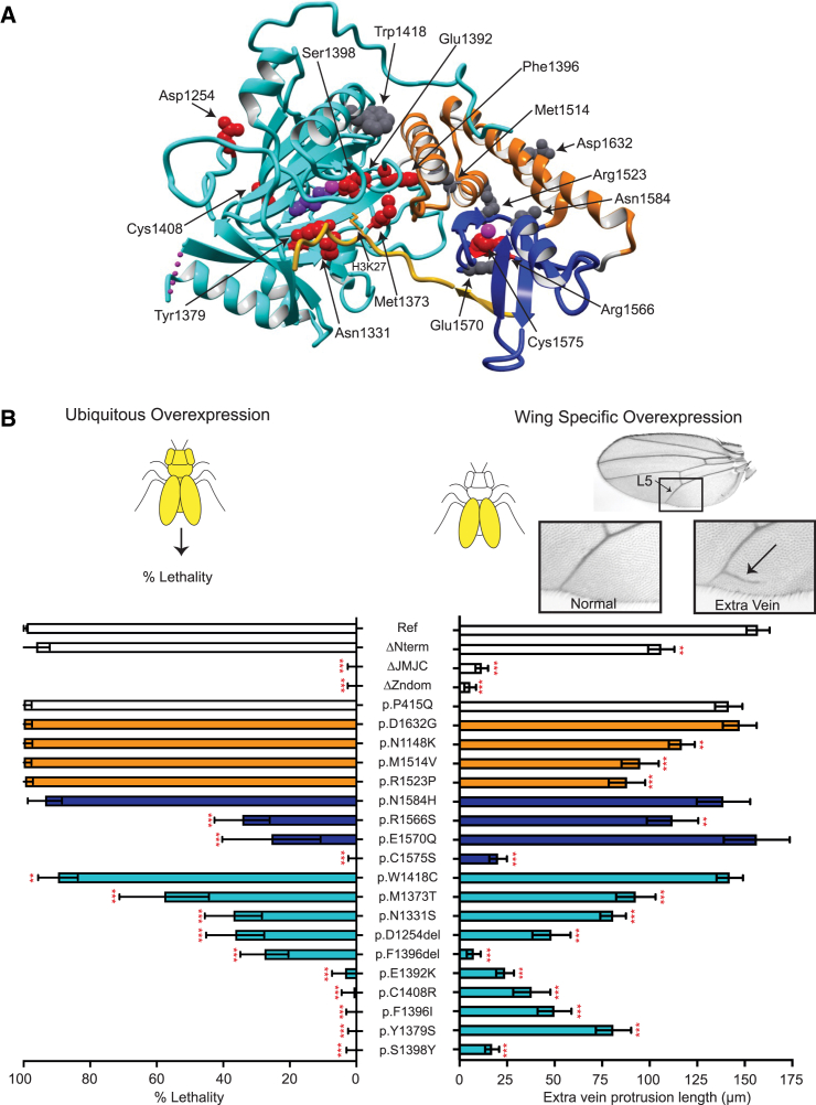 Figure 2