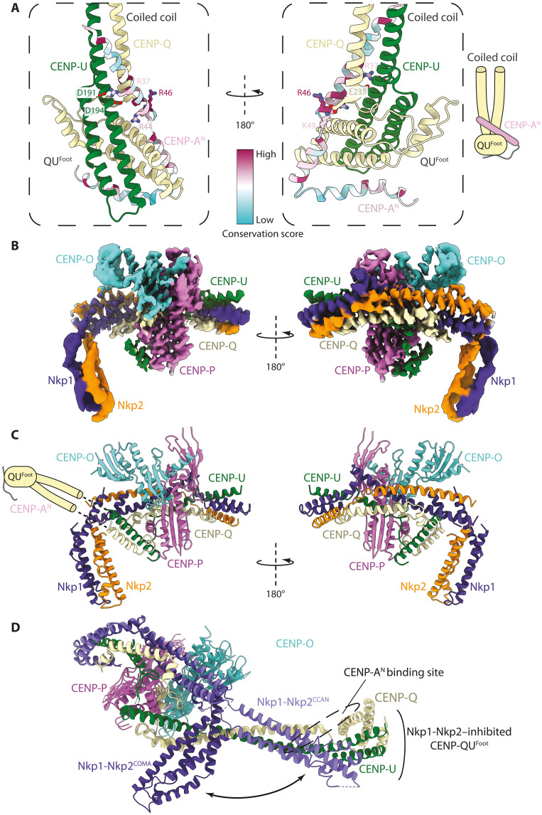 Fig. 4.