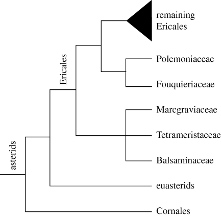 Figure 1.